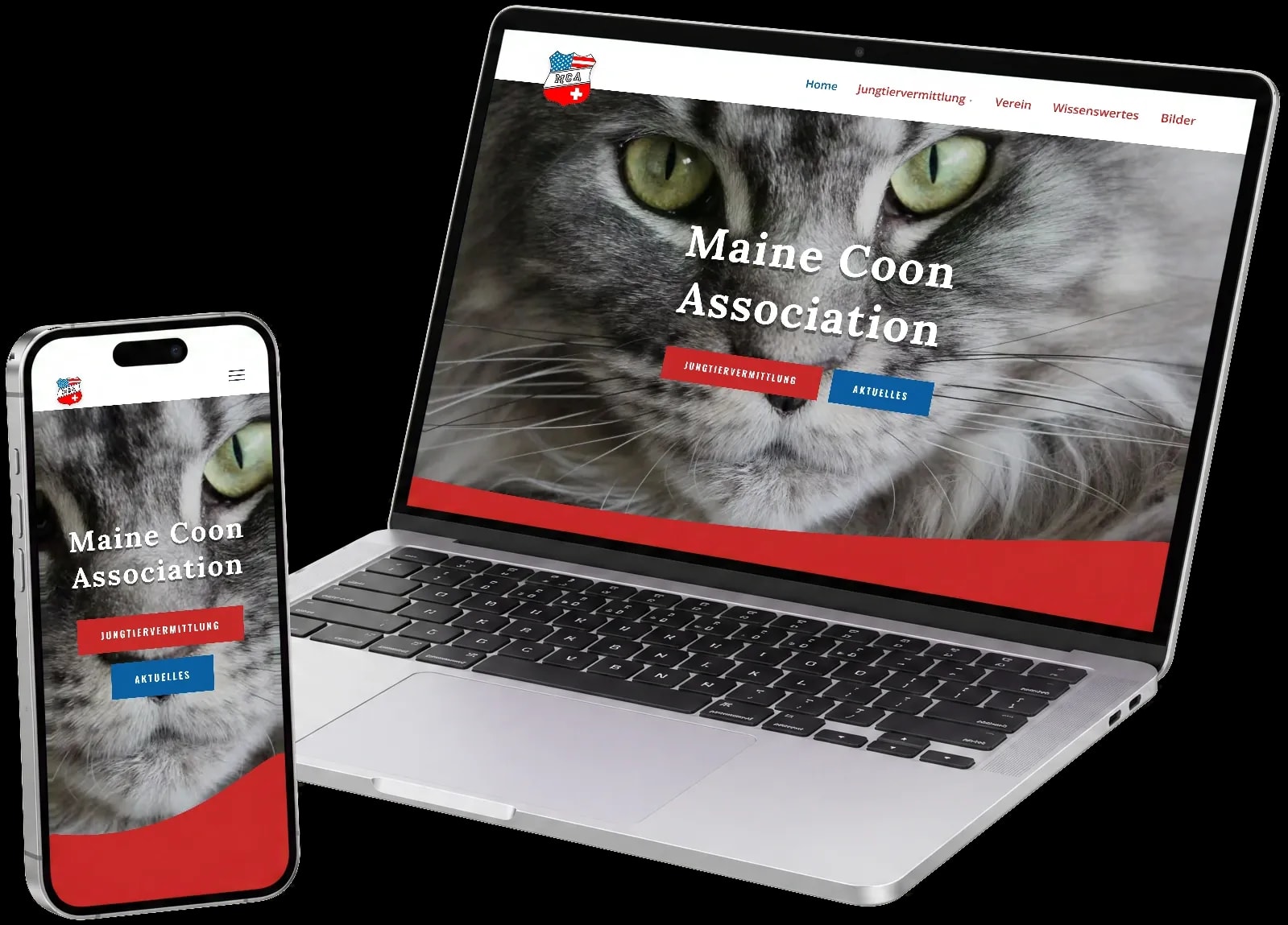 Website der Maine Coon Association auf Laptop und Handy